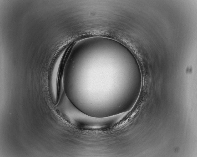 X0000099290201200805021239