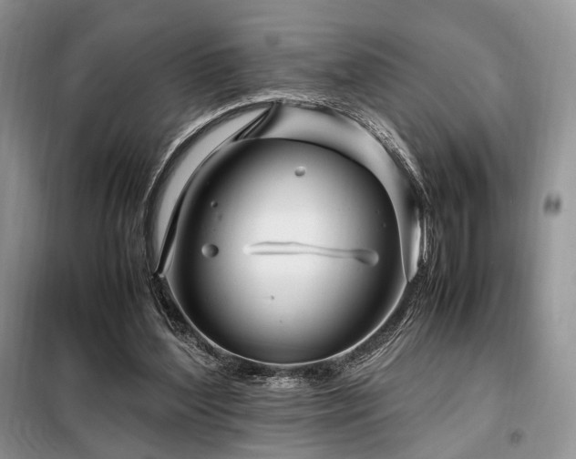 X0000099290204200805021239