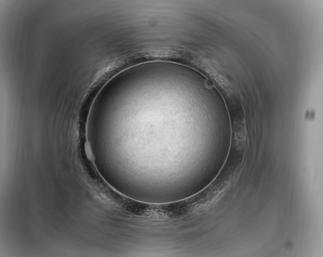 X0000099290207200805021239
