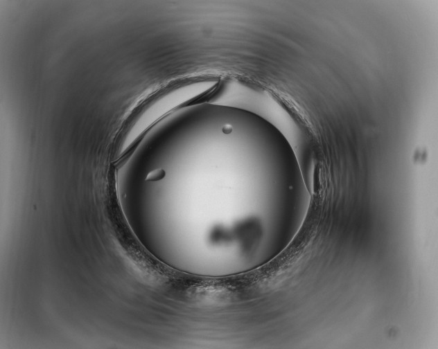 X0000099290208200805021239