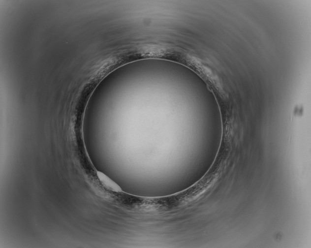 X0000099290209200805021239