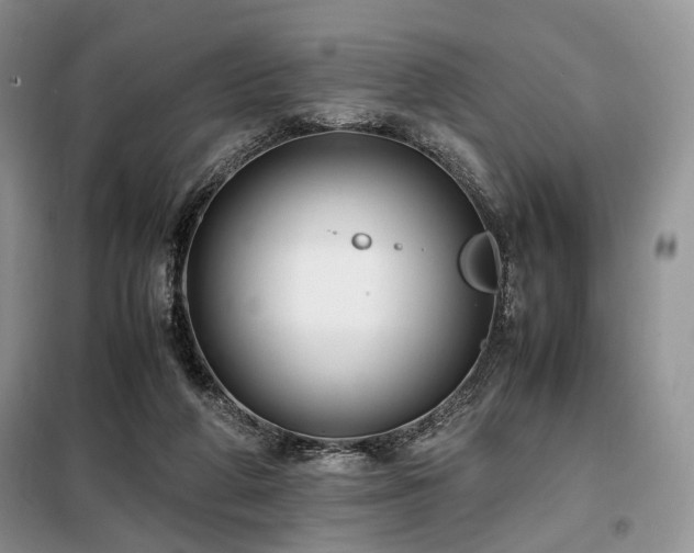 X0000099290210200805021239