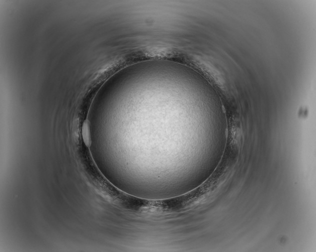 X0000099290211200805021239