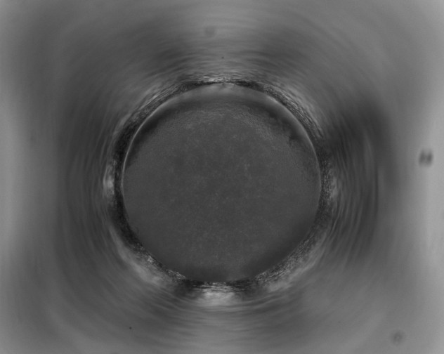 X0000099290214200805021239