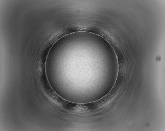 X0000099290215200805021239