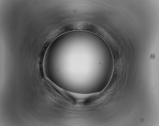 X0000099290217200805021239