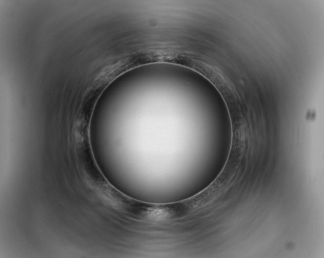 X0000099290218200805021239