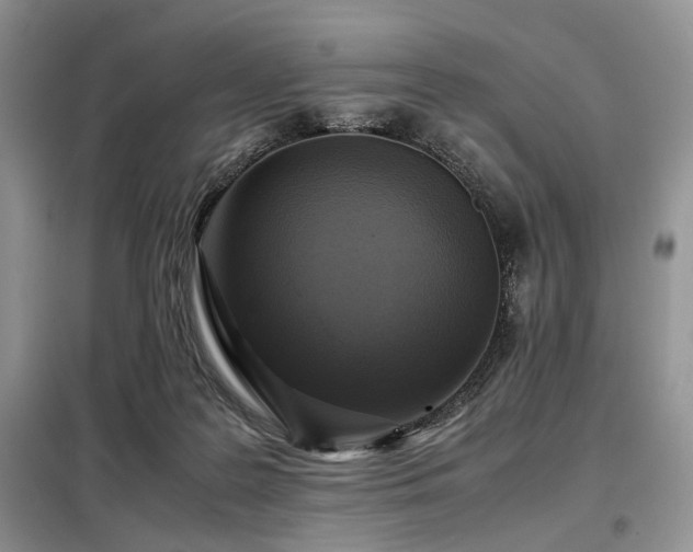 X0000099290219200805021239