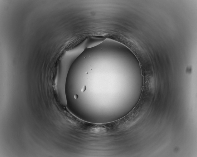 X0000099290220200805021239
