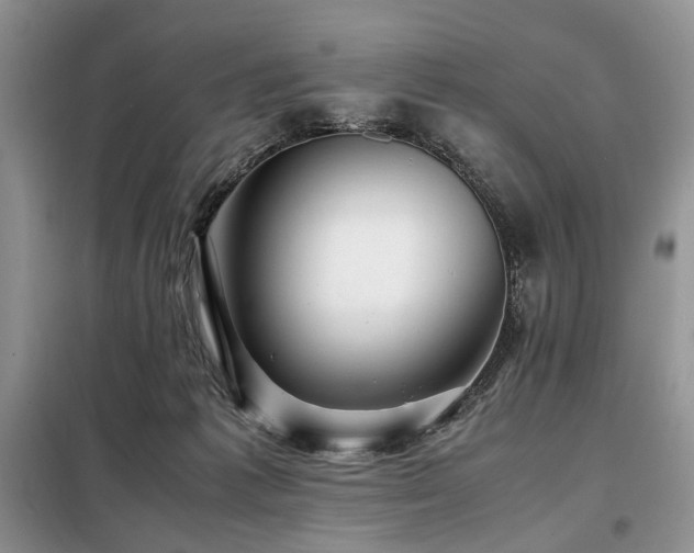 X0000099290221200805021239