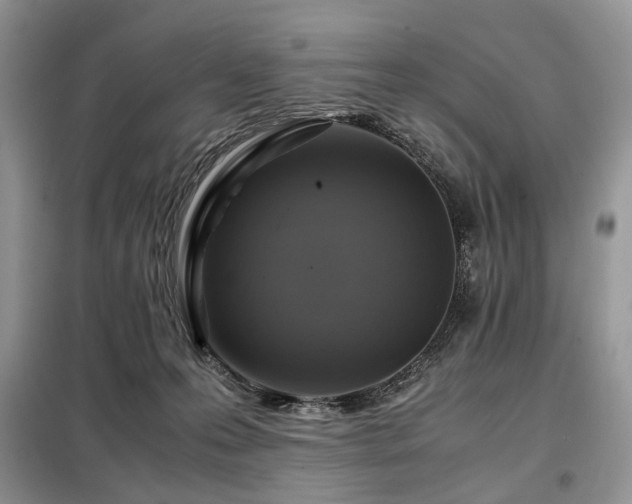 X0000099290223200805021239