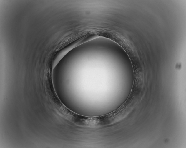 X0000099290225200805021239
