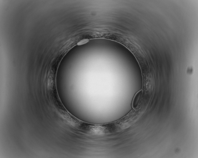 X0000099290226200805021239