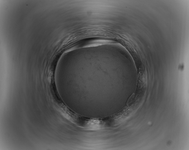 X0000099290227200805021239