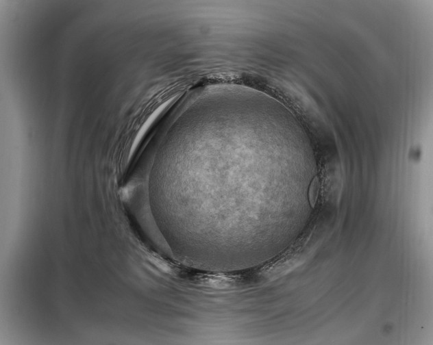 X0000099290229200805021239
