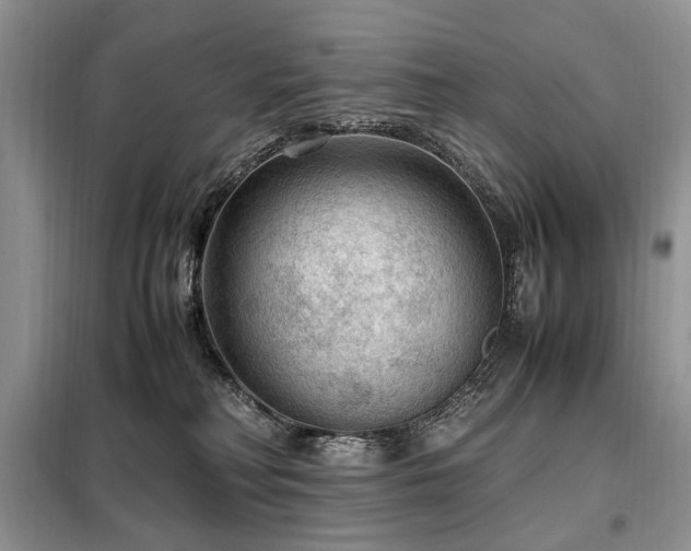 X0000099290230200805021239