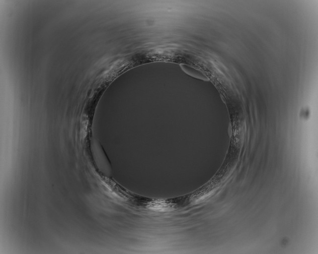 X0000099290231200805021238