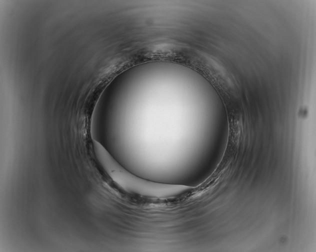 X0000099290232200805021238