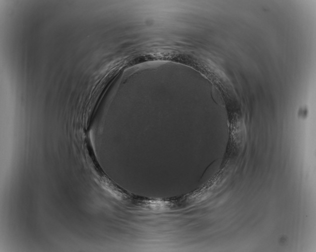 X0000099290233200805021238