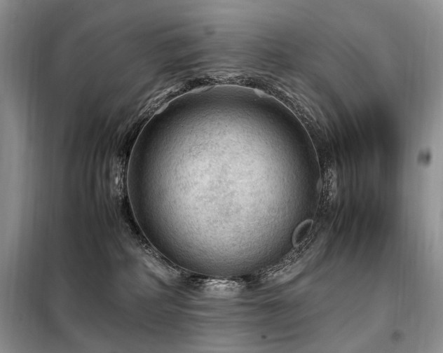 X0000099290234200805021238