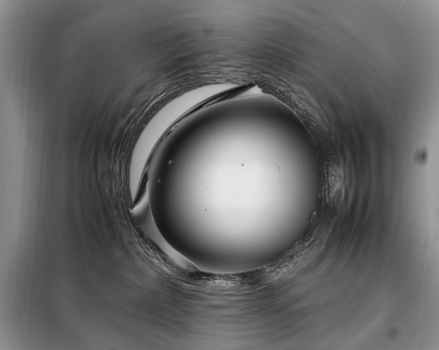 X0000099290236200805021238