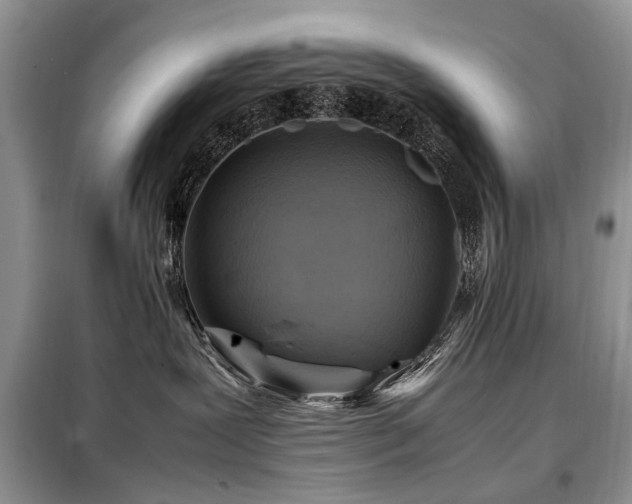 X0000099290239200805021238