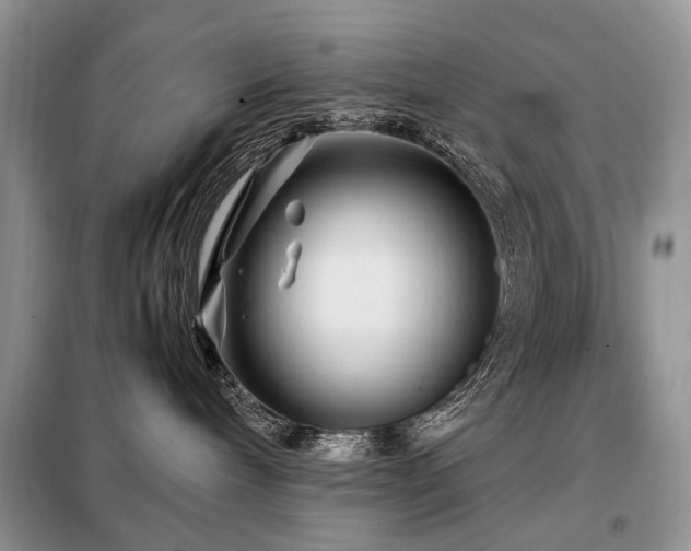 X0000099290240200805021238