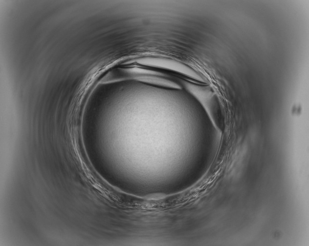 X0000099290241200805021238