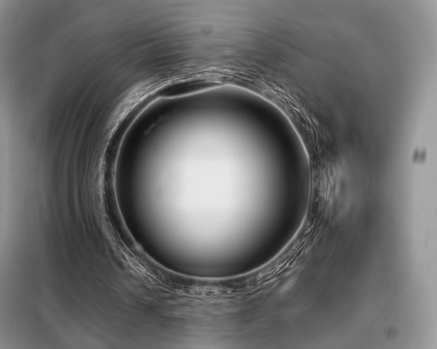 X0000099290242200805021238