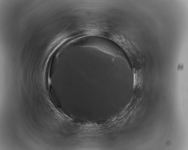 X0000099290243200805021238