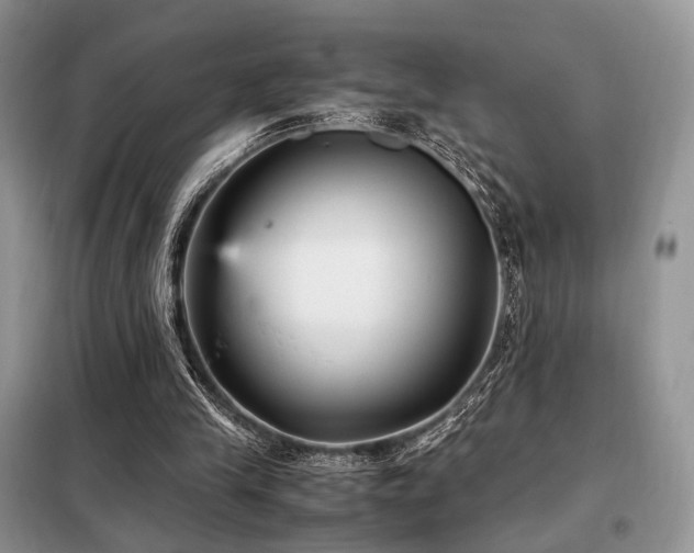 X0000099290245200805021238