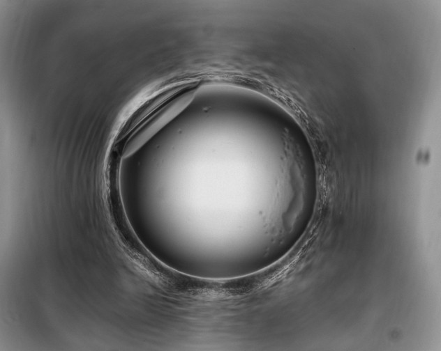 X0000099290246200805021238