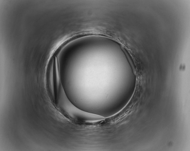 X0000099290248200805021238