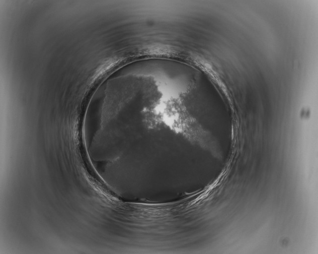 X0000099290249200805021238