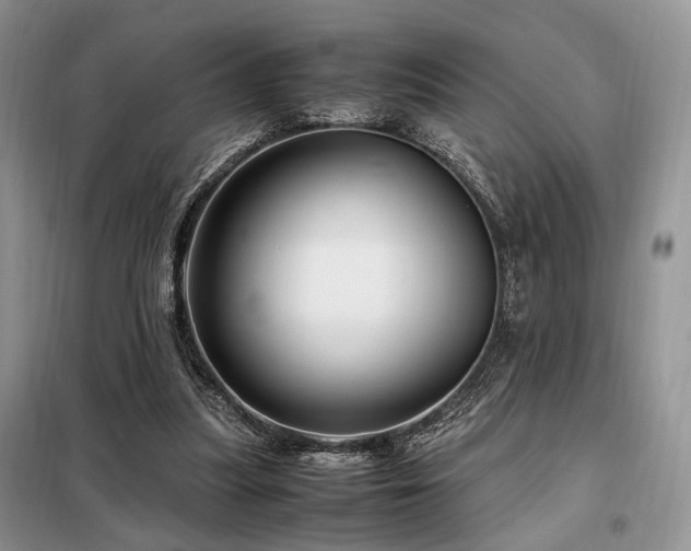 X0000099290251200805021238