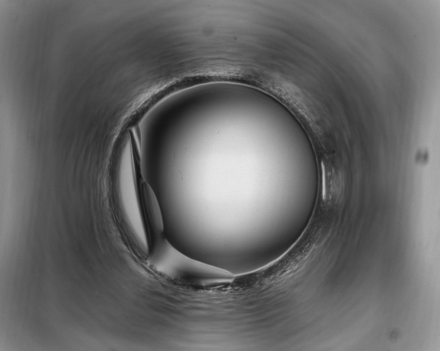 X0000099290252200805021238