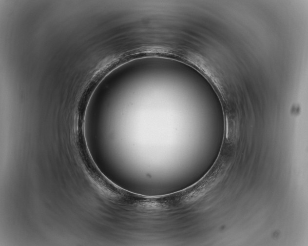 X0000099290253200805021238