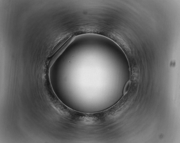 X0000099290255200805021238