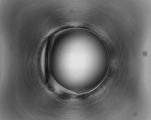 X0000099290256200805021238