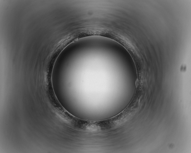 X0000099290258200805021238