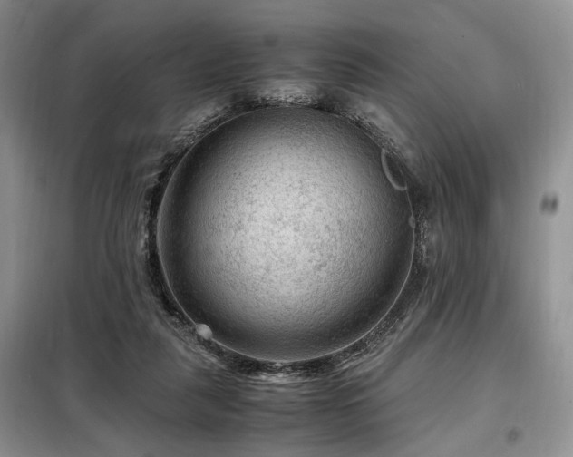 X0000099290259200805021238