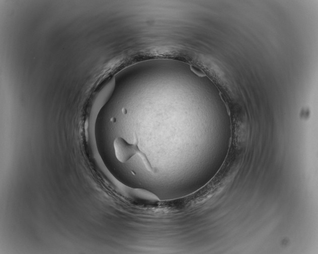 X0000099290260200805021238