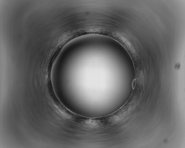 X0000099290261200805021238