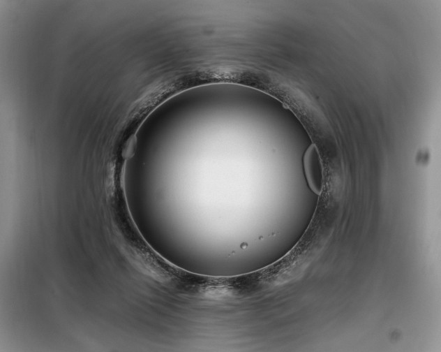 X0000099290262200805021238