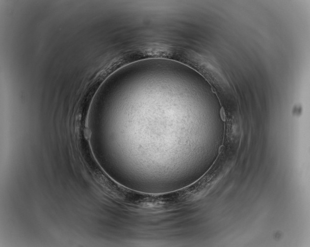 X0000099290263200805021238