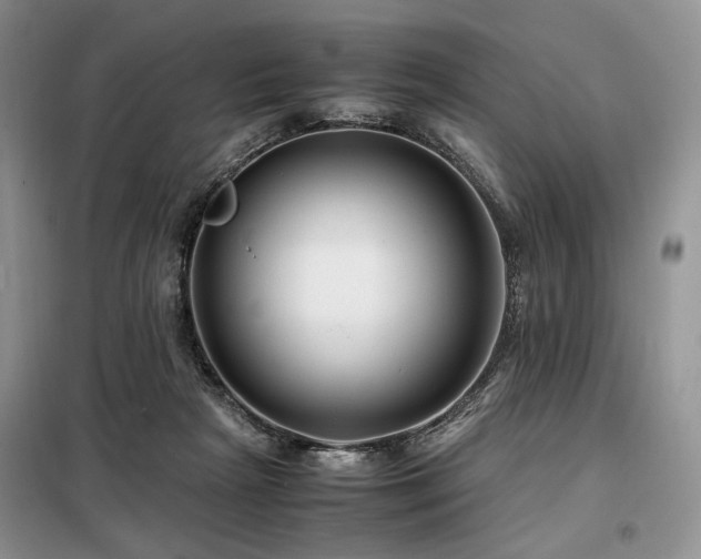 X0000099290265200805021238
