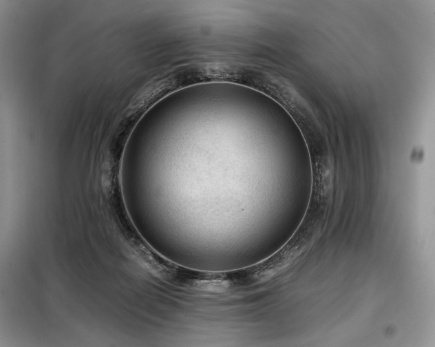 X0000099290266200805021238