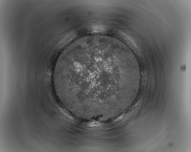 X0000099290269200805021238