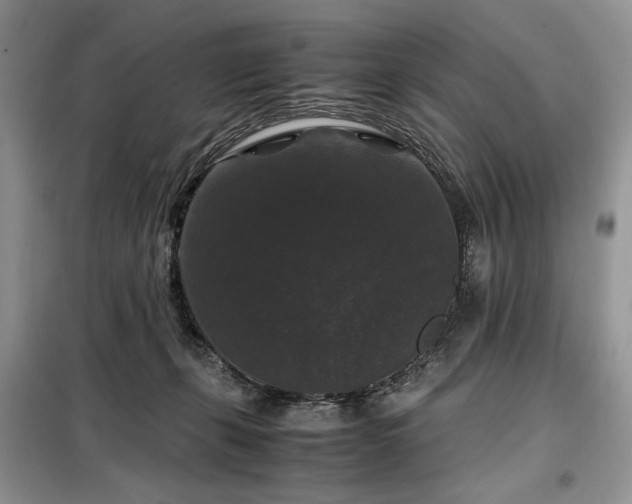 X0000099290271200805021238
