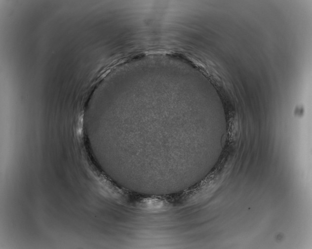 X0000099290272200805021238